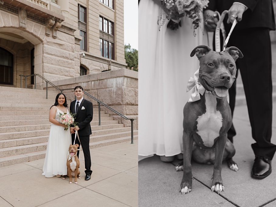Dog with happy Houston newlyweds outside the 1910 courthouse.