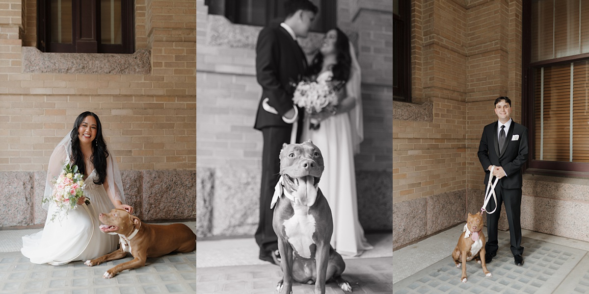 Newlyweds with their dog captured in a sweet portrait outside the 1910 historic courthouse.
